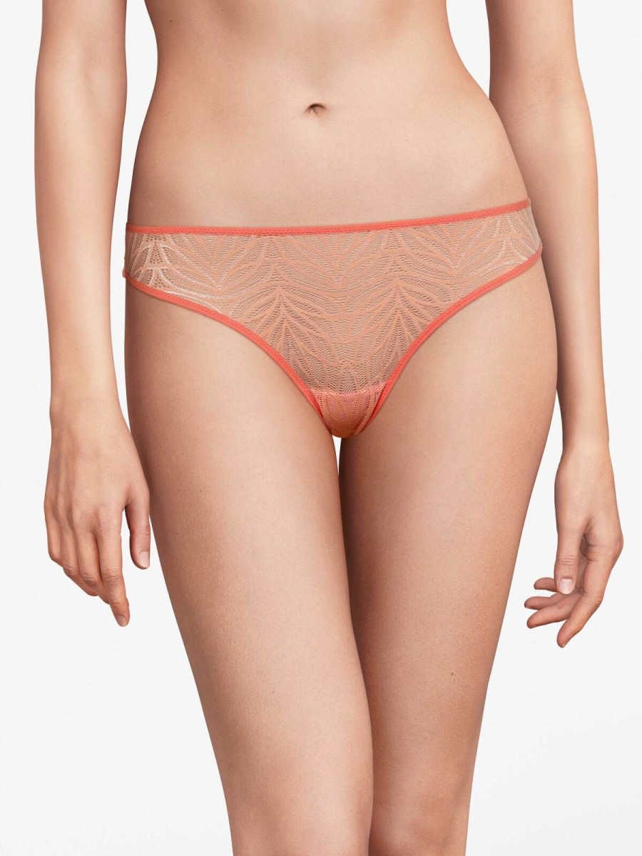 Darjeeling Tangas | Upcycling - Tanga