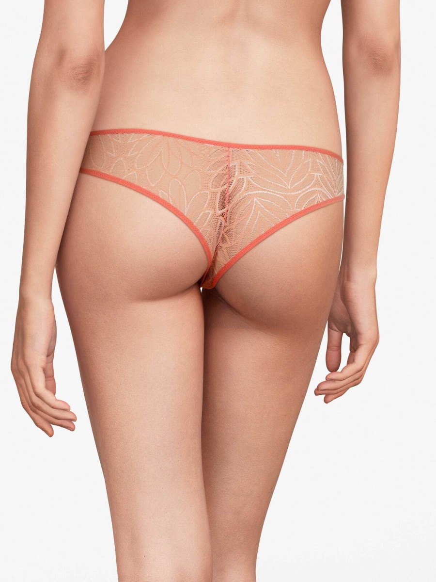 Darjeeling Tangas | Upcycling - Tanga